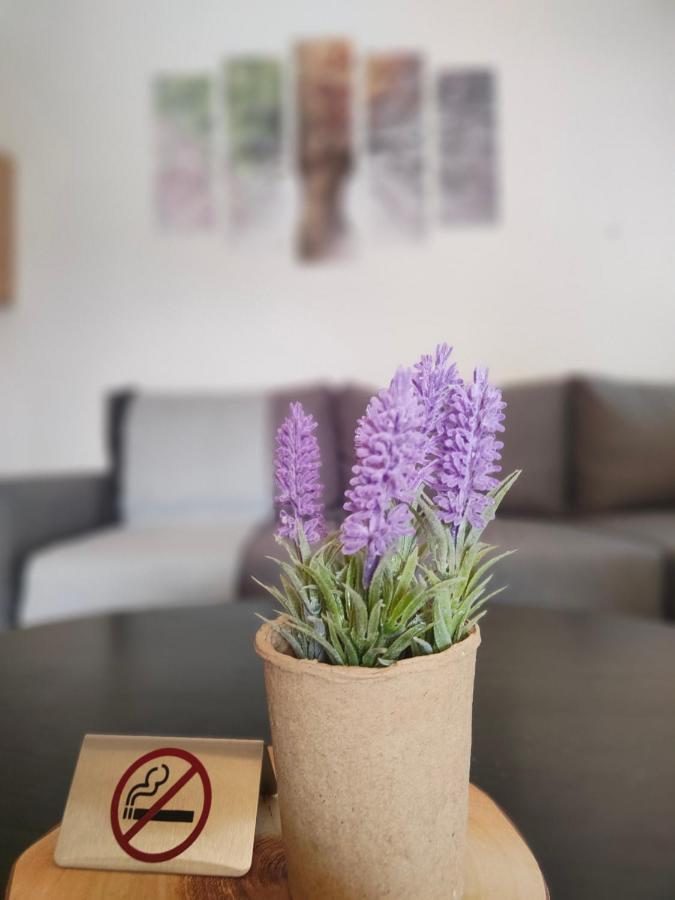 Apartment Earthy *